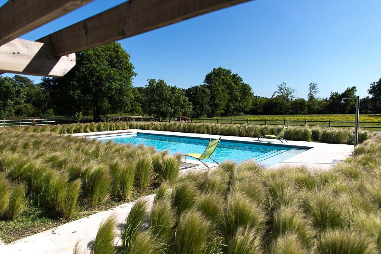 Les Cinq Sens Du Chateau Mayne Lalande Hotel Castelnau-de-Médoc Buitenkant foto